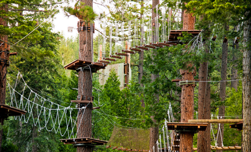 Treetop Obstacle Course Adventure Park